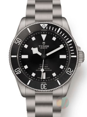 Tudor Pelagos 39 Men M25407N-0001