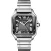 Cartier Santos De Cartier Large Model WSSA0037
